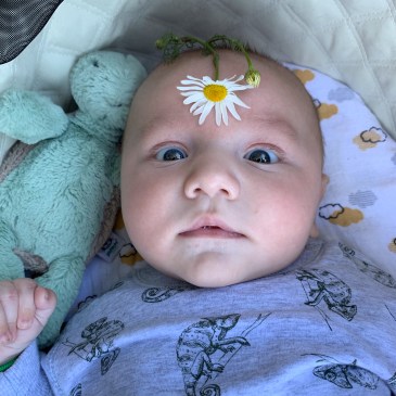 James, Flower, Turtle, Love, Babyboy, Surrogacy